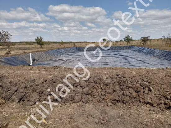 0,5 мм 0,75 мм 1,0 мм 1,5 мм HDPE LLDPE лайнер листовая мембрана Gse текстурированная геомембрана HDPE для свалок и горнодобывающей лагуны